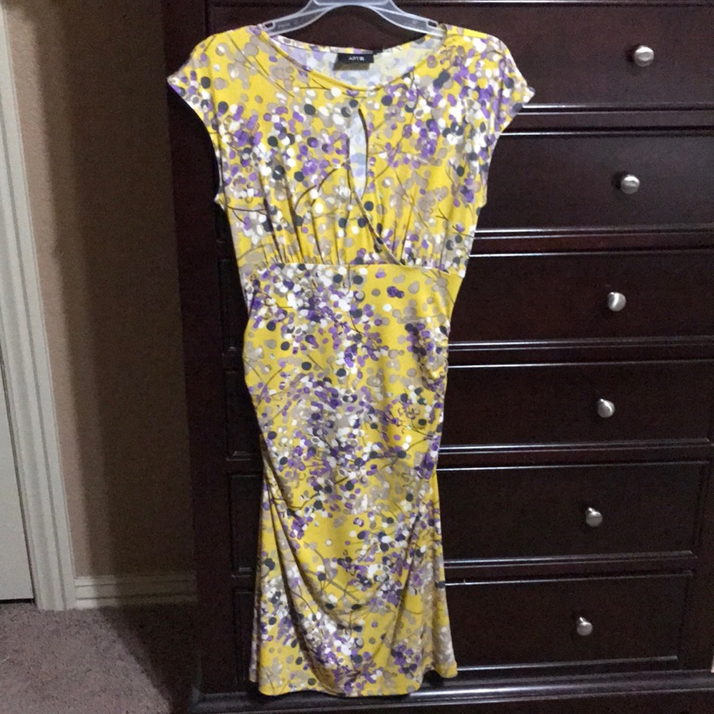 NWT! Beautiful Pullover Dress!
